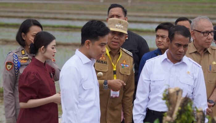 Wapres Kunjungi Sirapit, Pj Bupati Langkat Sambut Percepatan Gerakan Tanam Padi