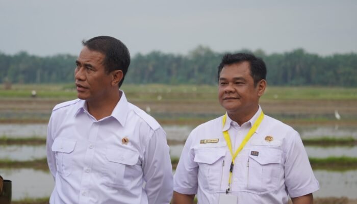 Kadis Peternakan Langkat Bantah Isu Penyimpangan! Bantuan dan Pupuk Sesuai Prosedur?