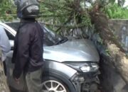 Bersama Rekan Wanita Dini Hari, Pengemudi HRV Tabrak Becak, Oleng Hantam Pohon dan Tembok, Pengendara Becak Dilarikan ke RS!