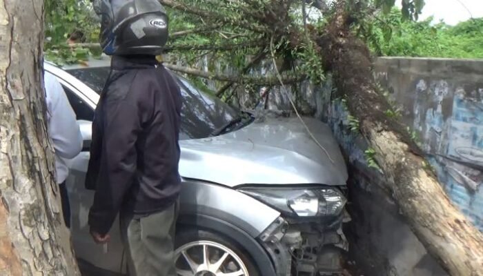 Bersama Rekan Wanita Dini Hari, Pengemudi HRV Tabrak Becak, Oleng Hantam Pohon dan Tembok, Pengendara Becak Dilarikan ke RS!