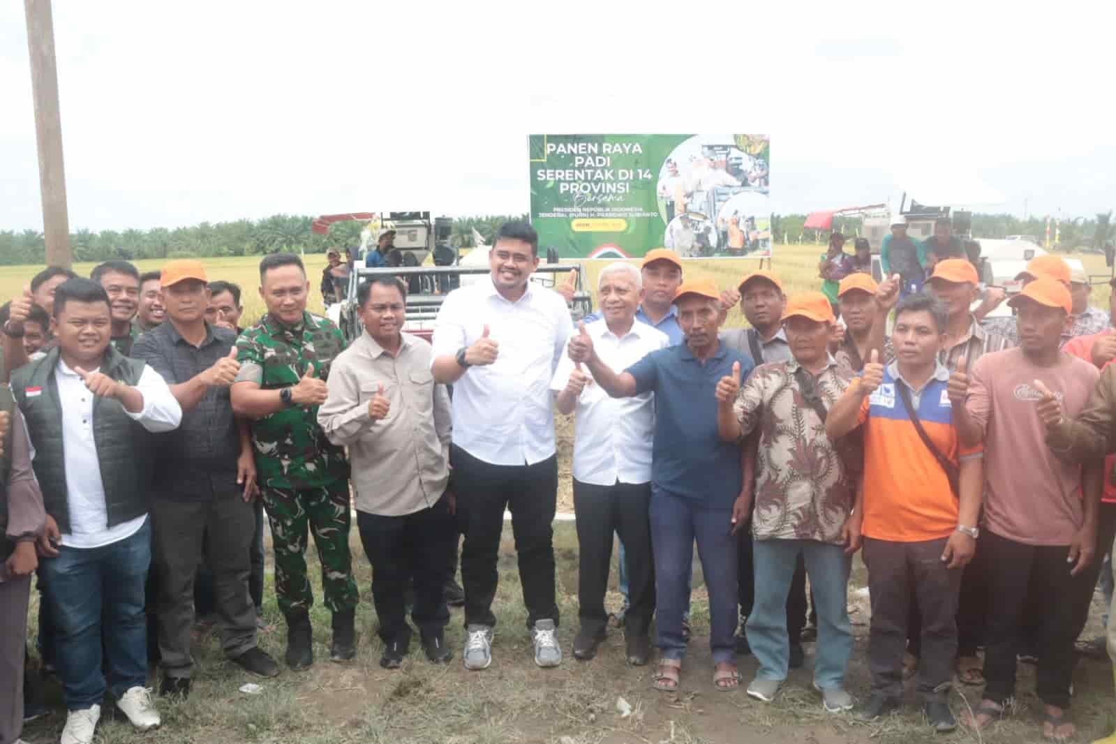 Gubernur Sumatera Utara H. Bobby Nasution bersama Bupati Serdang Bedagai H. Darma Wijaya turun langsung ke sawah memanen padi bersama petani di Dusun I, Desa Paya Mabar, Kecamatan Tebing Tinggi, Kabupaten Sergai, dalam rangka Panen Raya Serentak Nasional, Senin (7/4/2025). (Foto: Ist/kedannews.com).