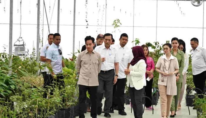 Wapres Gibran Terkesima Hilirisasi Kemenyan di TSTH2 Humbahas, Sebut Ini Lebih Hebat dari Nikel!