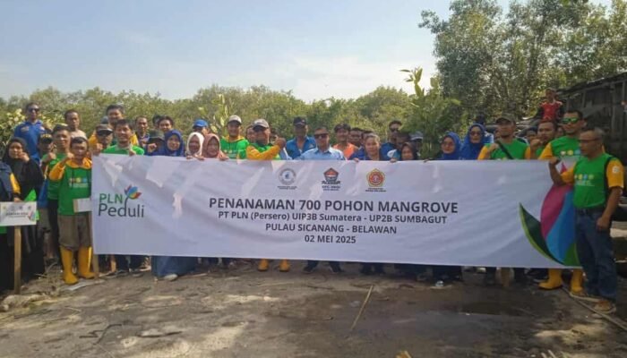 PLN UIP3B Sumatera, HNSI dan Relawan Wak Young Tanam 700 Pohon Mangrove di Medan Belawan