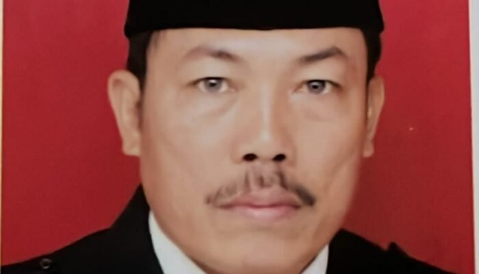 Effendi Manullang Soroti Kericuhan Paripurna, Sindir Sikap Ketua DPRD Zakky Shahri