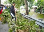 Rico Waas Pimpin Bersih-Bersih Sungai Sei Putih, Warga Ungkap Keluhannya Soal Saluran Mampet!