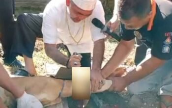 Heboh! MIFA Sembelih 9 Hewan Kurban, Tuan Guru: “Tak Harus Mampu, Yang Penting Niat!”