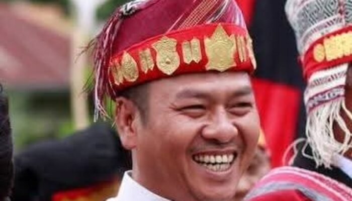 Nikson Nababan Dinilai Paling Layak Pimpin PDIP Sumut, Ini Alasannya Menurut Prof Togu Harlen