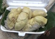 Puluhan Orang Rela Antre Demi Pulut Durian Legendaris di Medan, Habis Sebelum Siang!
