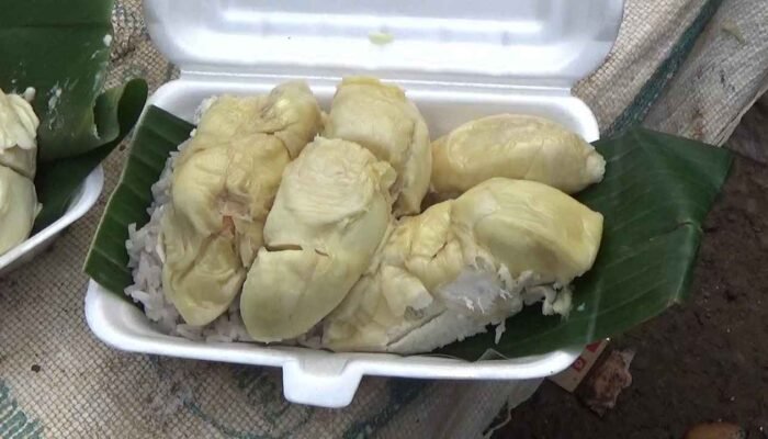 Puluhan Orang Rela Antre Demi Pulut Durian Legendaris di Medan, Habis Sebelum Siang!