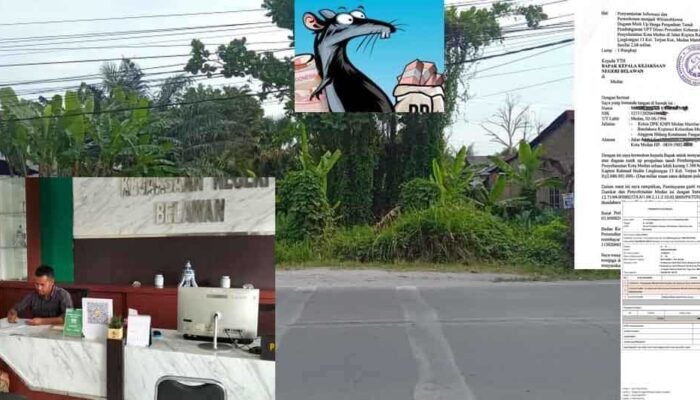 Dugaan Mark Up Lahan UPT Damkar Medan Rp2,6 Miliar, Ketua KNPI Marelan Ajukan Diri Jadi Whistleblower