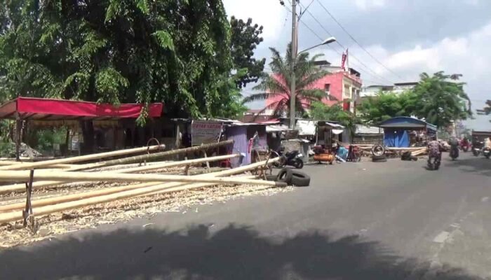 Jelang 17 Agustus, Ratusan Batang Pinang Siap Dipanjat tapi Masih Sepi Pembeli di Medan
