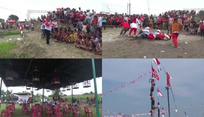Heboh di Medan Denai, Terong Hijau Besar Patah dan Emak-Emak Tarik Tambang Sampai Terlentang