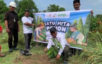 EMP Gebang Bersama Petani dan Nelayan Tanam Ribuan Pohon dan Mangrove di Langkat, Apa Manfaatnya?