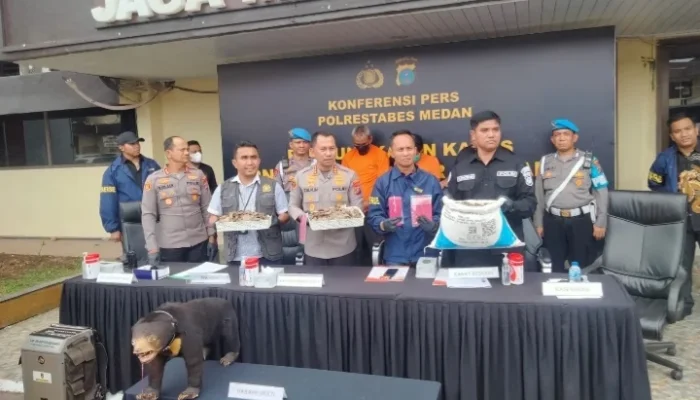 Polrestabes Medan Bongkar Perdagangan Satwa Dilindungi, Dua Pelaku Diamankan