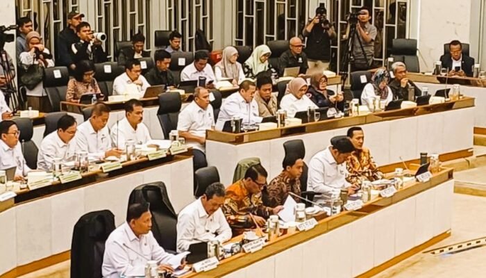 Banjir Sumatera Rusak 107.400 Hektare Sawah, Lebih 820.000 Ternak Mati dan Hilang