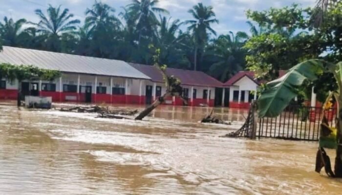 Banjir Bandang Kembali Terjang Tapanuli Selatan, Desa Bandar Tarutung Terisolasi Total