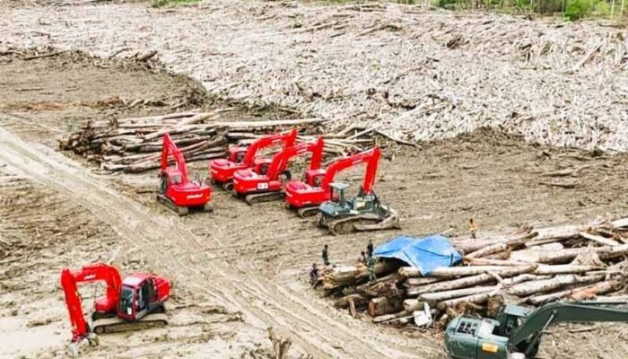 TNI Turunkan Puluhan Alat Berat Bersihkan Tumpukan Kayu Sisa Banjir Bandang Aceh Utara