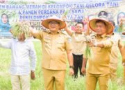Bawang Merah Jadi Andalan Baru Petani Beringin, Modal Kecil Untung Tiga Kali Lipat
