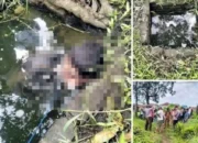 Pria 23 Tahun Ditemukan Tewas di Sumur Bekas Penyucian Daging Kurban di Deli Serdang
