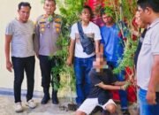 Tanam Ganja di Dapur Rumah, Tiga Pria di Sergai Diciduk Polisi
