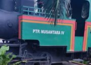 Bungkam Soal Temuan BPK, Humas hingga Bagian Hukum PTPN IV Tak Merespons Konfirmasi