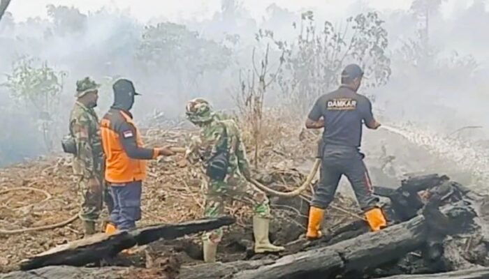 Karhutla 58,7 Hektare di Aceh Barat Berhasil Dipadamkan, BPBD Tetap Siaga