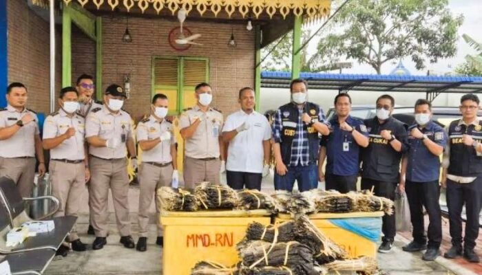 Hendak Diselundupkan ke Malaysia, Hampir 2.000 Kulit Biawak Digagalkan di Pelabuhan Teluk Nibung