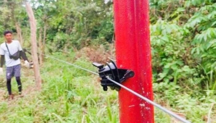 Hampir 80 Km Kawat Kejut Dibentang di Pedalaman Aceh Timur, Upaya Tekan Konflik Gajah–Warga