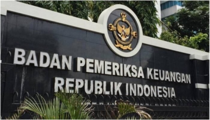BPK Ungkap Temuan pada PT TDM Anak Usaha PTPN I 2020–2024: Dana Talangan Klaim BPJS Rp6,35 Miliar dan Pengeluaran Rp19,86 Miliar Belum Didukung Bukti
