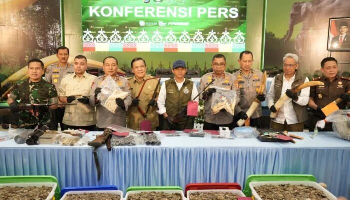 Polda Riau Bekuk 15 Tersangka Jaringan Perburuan Gajah Sumatera, Gading Dijual hingga Jawa