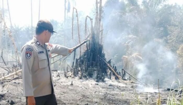 Empat Hektare Lahan Terbakar di Simalungun, Warga Diminta Waspada Cuaca Panas