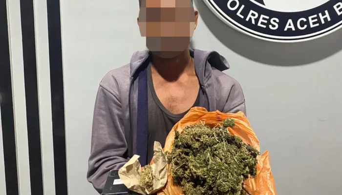 Miliki Setengah Kilogram Ganja, Nelayan Asal Nagan Raya Ditangkap Polisi di Aceh Barat