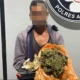 Miliki Setengah Kilogram Ganja, Nelayan Asal Nagan Raya Ditangkap Polisi di Aceh Barat