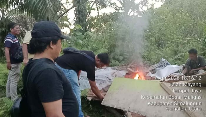 Polsek Bosar Maligas Bakar Gubuk Diduga Sarang Narkoba di Simalungun, Pelaku Kabur Saat Penggerebekan