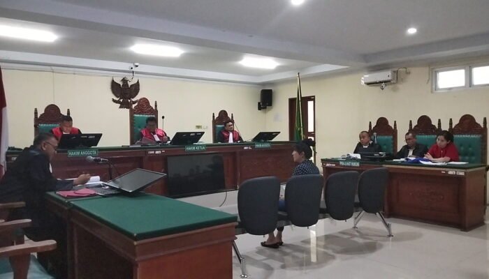 Sidang KDRT PN Lubuk Pakam Ungkap Fakta: Ibu R Akui Sherly Menjerit Minta Tolong ke Abang Iparnya, Erwin, hingga Polemik Rekaman CCTV