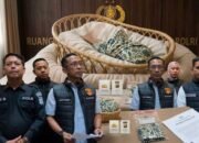 Polres Belawan Bongkar Sindikat Penjualan Bayi di Deli Serdang, Enam Tersangka Diamankan