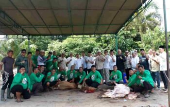 Bank Sumut Salurkan 900 Paket Daging Kurban di Medan, Komitmen Sosial dan Kepedulian Masyarakat Kembali Disorot