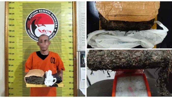 Pria 53 Tahun Ditangkap di Jalinsum Padangsidimpuan, Polisi Sita 900 Gram Ganja dalam Ops Antik Toba 2026