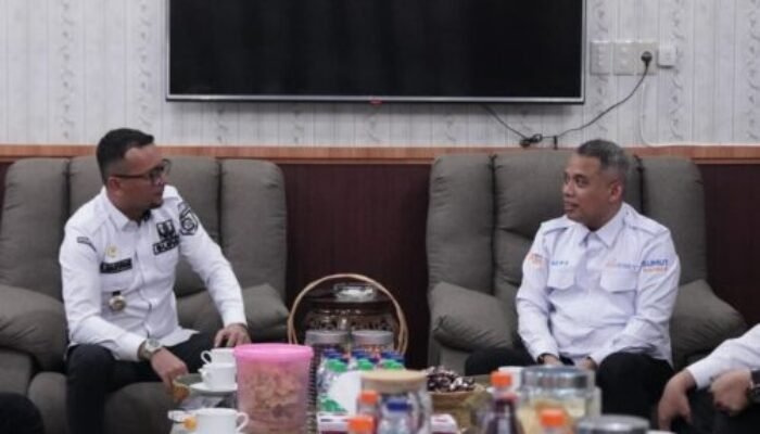Bupati Labuhanbatu Selatan Dorong Perluasan Program CSR Bank Sumut untuk UMKM dan Lingkungan