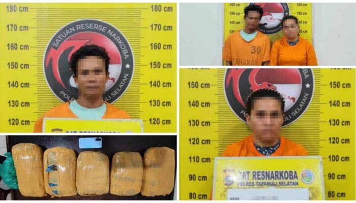 Polres Tapsel Kembangkan Kasus Penemuan 5 Kilogram Ganja, Dua Orang Diamankan di Batang Angkola