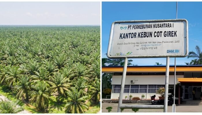 Akademisi Dorong Penyelesaian Menyeluruh Konflik PTPN IV Cot Girek, Dialog dan Penegakan Hukum Harus Berjalan Bersama