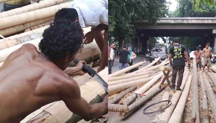 Jelang 17 Agustus, Penjualan Batang Pinang Malah Turun 30 Persen, Ada Apa?