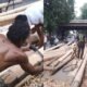 Jelang 17 Agustus, Penjualan Batang Pinang Malah Turun 30 Persen, Ada Apa?