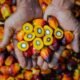 PTPN IV PalmCo Perluas Sertifikasi Sawit Berkelanjutan, Penjualan Produk Premium Melonjak 148 Persen
