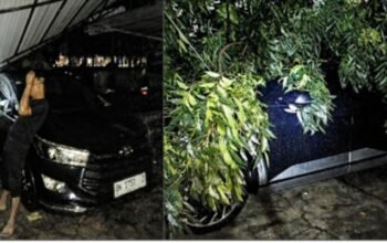 Dua Mobil Dinas Ketua DPRD Medan Tertimpa Pohon, Surat Pemangkasan Disebut Belum Ditindaklanjuti