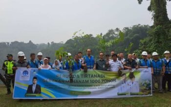 Tirtanadi Tanam 1.000 Pohon di Sibolangit, Ardian Soroti Aktivitas Penebangan
