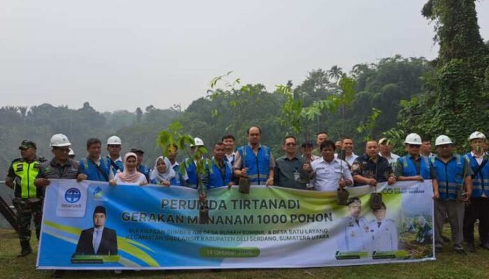 Tirtanadi Tanam 1.000 Pohon di Sibolangit, Ardian Soroti Aktivitas Penebangan